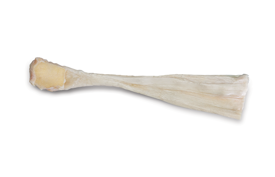 ACHILLES90 Boneblock