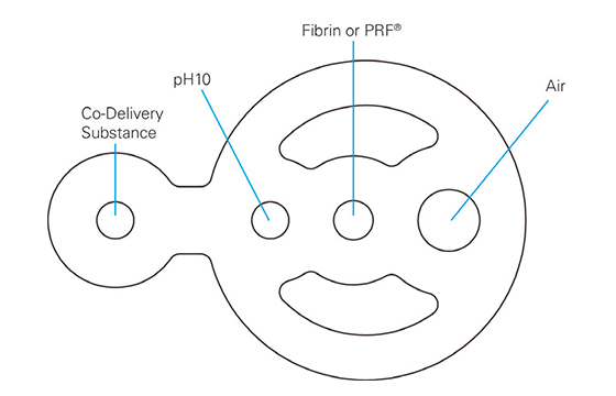 Vivostat Co-Delivery